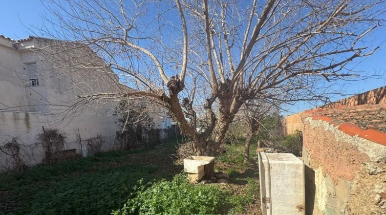 Murcia - San Pedro del Pinatar - 500m2