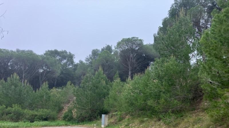 Gerona - l'Escala - 121m2