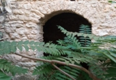 Casa de poble en venda a la España, la Torre de les Maçanes, ref.: TR274080 foto