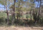Parcel·la urbanitzable en venda a la España, Cubelles, ref.: TR117956 foto