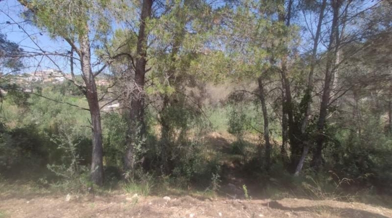 Barcelona - Cubelles - 940m2