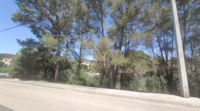 Barcelona - Cubelles - 940m2