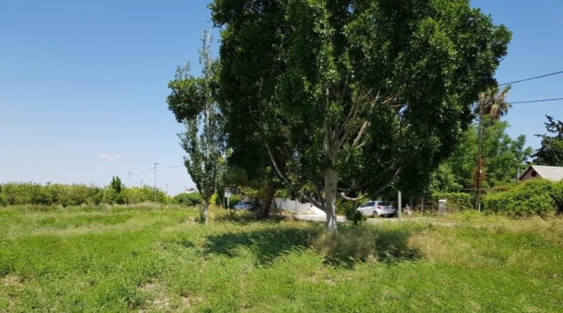 Múrcia - Murcia - 1800m2