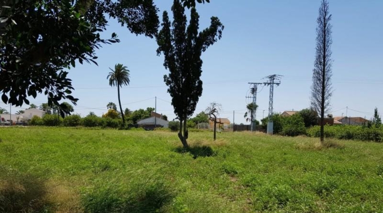 Múrcia - Murcia - 1800m2