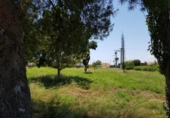 Parcel·la urbanitzable en venda a la España, Múrcia, ref.: TR118881 foto