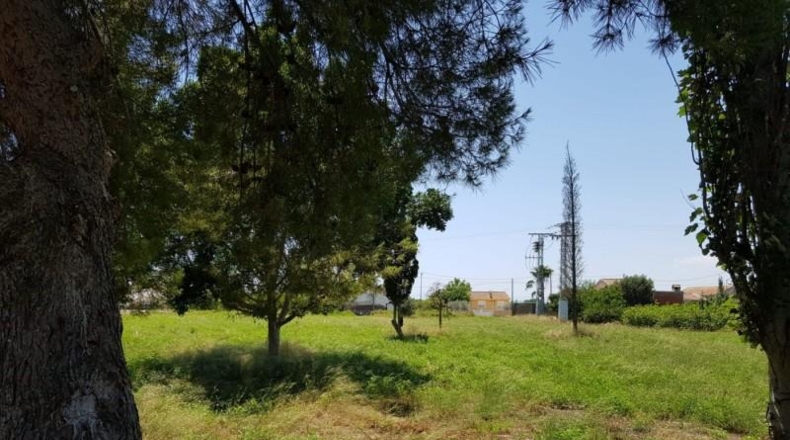 Múrcia - Murcia - 1800m2