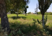 Parcel·la urbanitzable en venda a la España, Múrcia, ref.: TR118881 foto