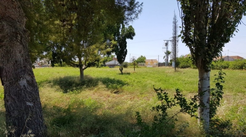 Múrcia - Murcia - 1800m2