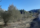 Casa de camp amb terreny en venda a la España, San Pedro del Pinatar, ref.: TR297142 foto