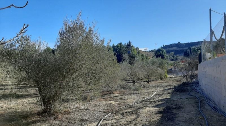 Navarre - Puente la Reina - 11000m2
