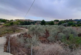 Foto 16
