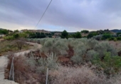Casa de camp amb terreny en venda a la España, San Pedro del Pinatar, ref.: TR297142 foto