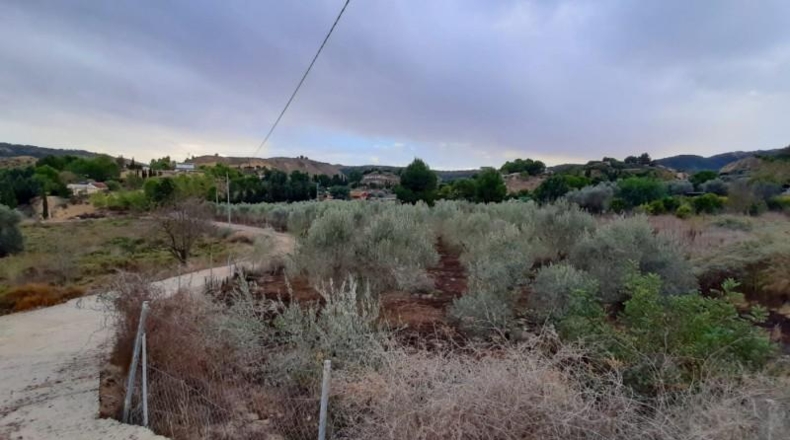 Navarre - Puente la Reina - 11000m2