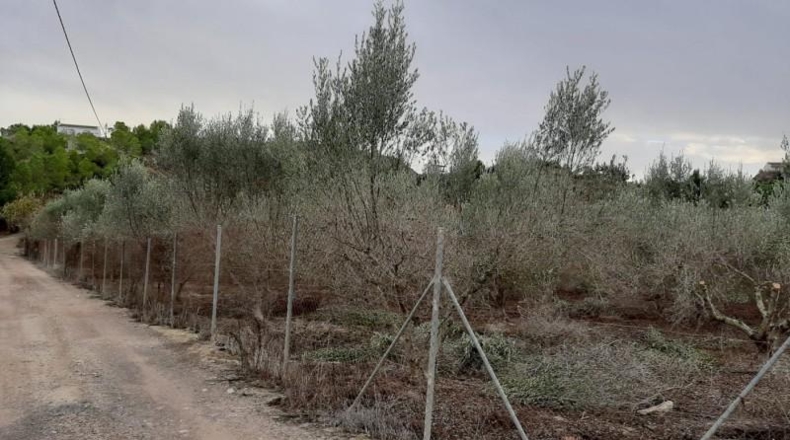 Navarre - Puente la Reina - 11000m2