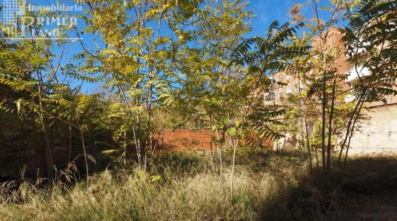 Ciudad Real - Tomelloso - 268m2