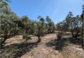Casa de campo con terreno en venta en la España, Caudete, ref: TR294668 foto