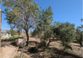 Casa de campo con terreno en venta en la España, Caudete, ref: TR294668 foto