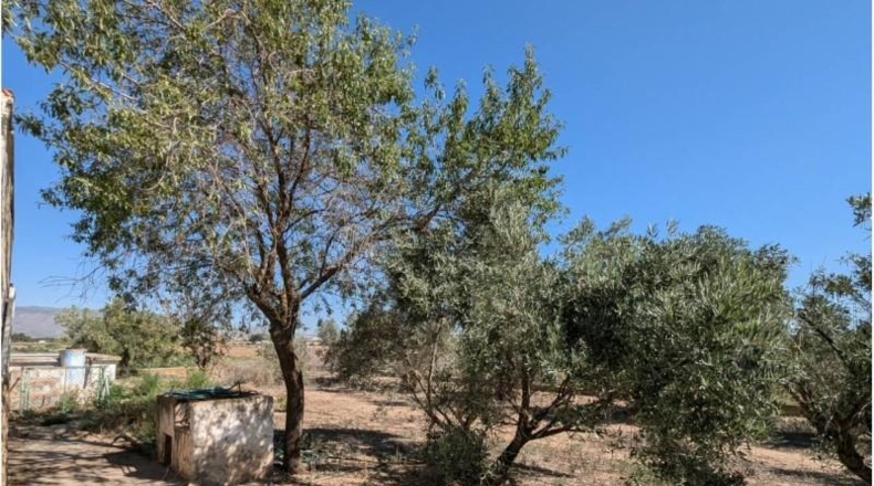 Albacete - Каудете - 7600m2