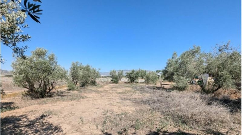 Albacete - Каудете - 7600m2