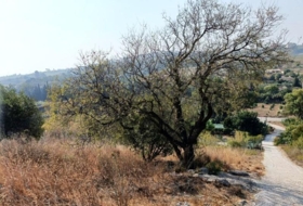 Manilva 2871&nbsp;m² 