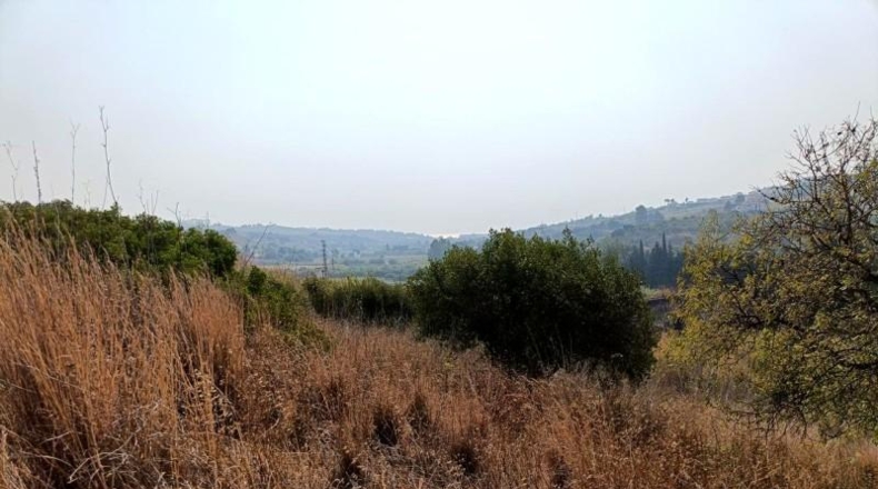 Málaga - Manilva - 2871m2