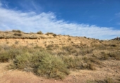 Urban land for sale on España, Alcarràs, ref: TR130385 photo