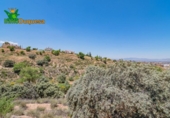 Sòl urbà en venda a la España, La Zubia, ref.: TR365665 foto