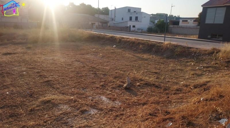 Murcia - Archena - 274m2