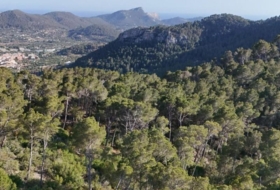 Andratx 12241&nbsp;m²