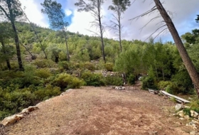 Andratx 12241&nbsp;m²