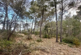 Andratx 12241&nbsp;m²