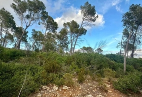 Andratx 12241&nbsp;m²