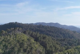 Andratx 12241&nbsp;m²