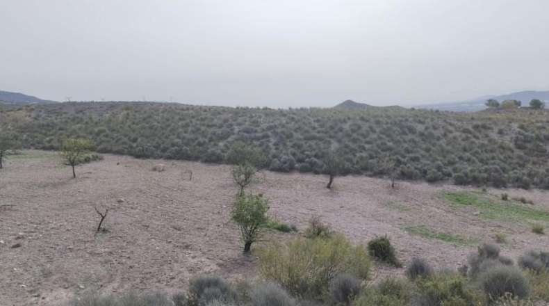 Мурсия - Lorca - 34600m2