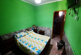 Foto 11