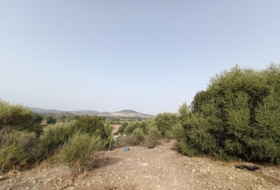 El Bosque 20000&nbsp;m² 