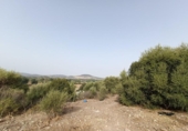 Non-developable land for sale on España, El Bosque, ref: TR123623 photo