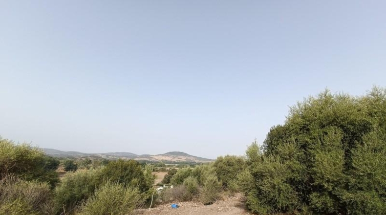 Cádiz - El Bosque - 20000m2