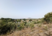Non-developable land for sale on España, El Bosque, ref: TR123623 photo