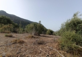 Non-developable land for sale on España, El Bosque, ref: TR123623 photo