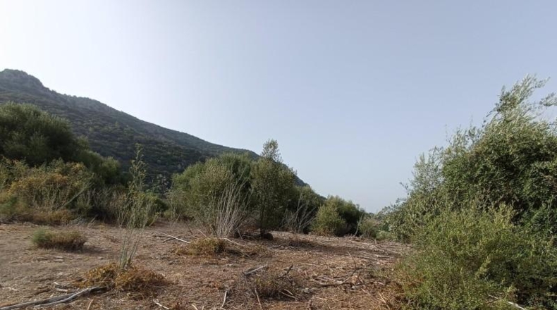 Cádiz - El Bosque - 20000m2