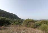 Non-developable land for sale on España, El Bosque, ref: TR123623 photo