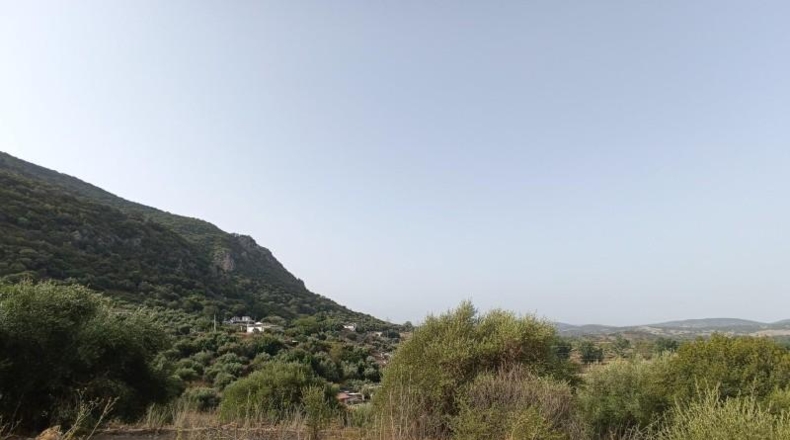 Cádiz - El Bosque - 20000m2