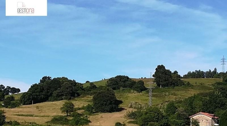 Cantàbria - Bárcena de Cicero - 30000m2