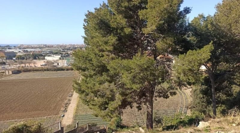 Barcelona - Santa Susanna - 488m2