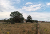 Non-developable land for sale on España, Onzonilla, ref: TR118023 photo