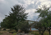 Non-developable land for sale on España, Onzonilla, ref: TR118023 photo