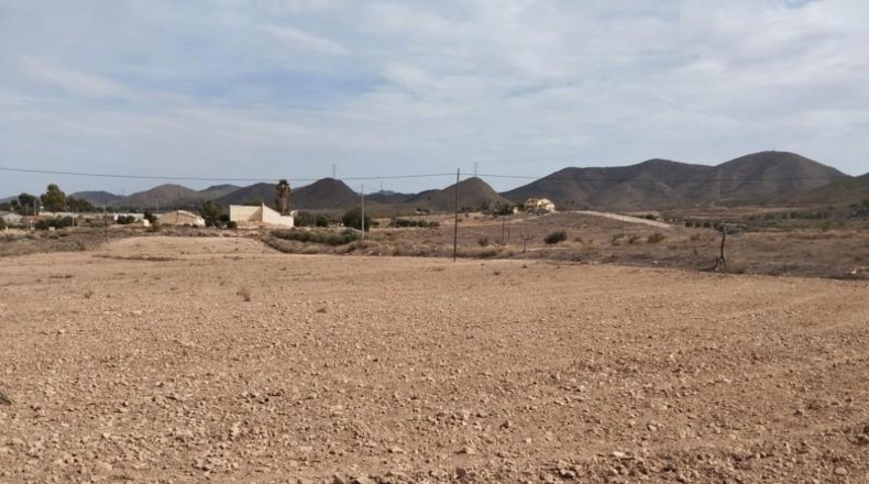 Murcia - Lorca - 11000m2