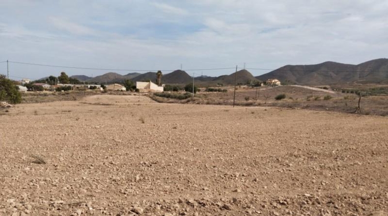 Murcia - Lorca - 11000m2