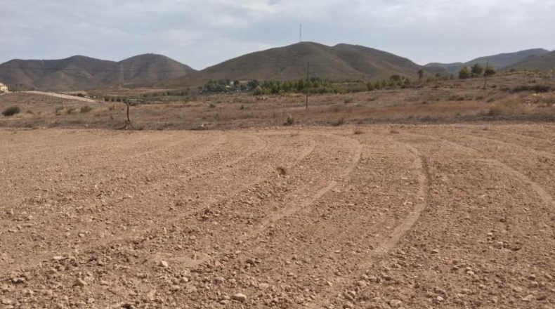Murcia - Lorca - 11000m2